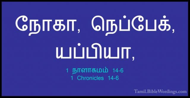 1 நாளாகமம் 14-6 - 1 Chronicles 14-6நோகா, நெப்பேக், யப்பியா,