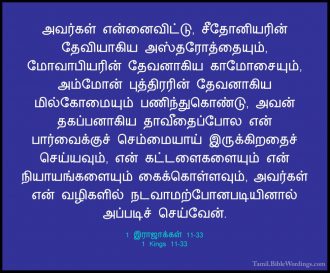 1 இராஜாக்கள் 11 - 1 Kings 11 - Holy Bible Tamil - Tamil.BibleWordings.com