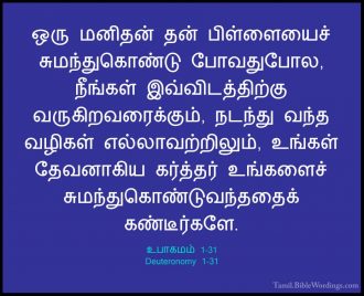 உபாகமம் 1 - Deuteronomy 1 - Holy Bible Tamil - Tamil.BibleWordings.com