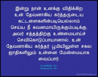 உபாகமம் 28 - Deuteronomy 28 - Holy Bible Tamil - Tamil.BibleWordings.com