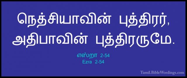 எஸ்றா 2-54 - Ezra 2-54நெத்சியாவின் புத்திரர், அதிபாவின் புத்திரருமே.
