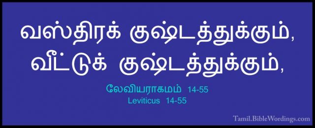 லேவியராகமம் 14-55 - Leviticus 14-55வஸ்திரக் குஷ்டத்துக்கும், வீட்டுக் குஷ்டத்துக்கும்,
