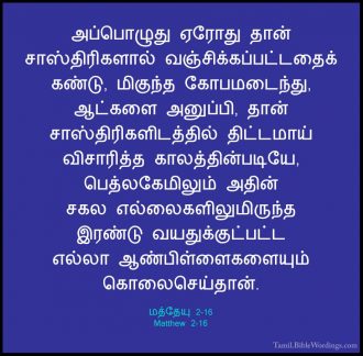 மத்தேயு 2 - Matthew 2 - Holy Bible Tamil - Tamil.BibleWordings.com