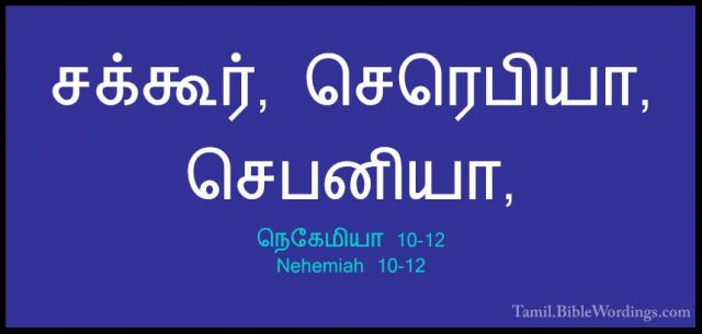 நெகேமியா 10-12 - Nehemiah 10-12சக்கூர், செரெபியா, செபனியா,