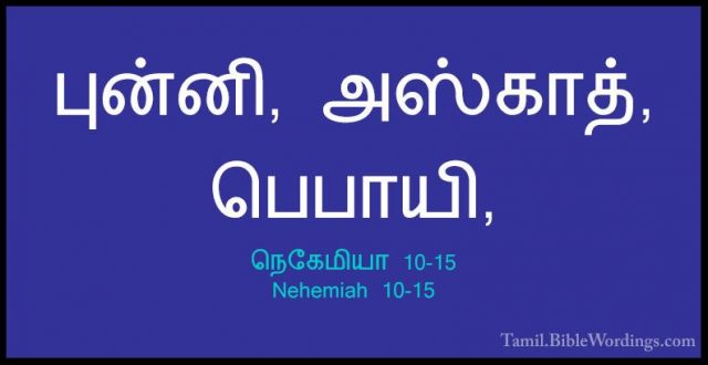 நெகேமியா 10-15 - Nehemiah 10-15புன்னி, அஸ்காத், பெபாயி,