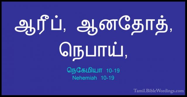 நெகேமியா 10-19 - Nehemiah 10-19ஆரீப், ஆனதோத், நெபாய்,