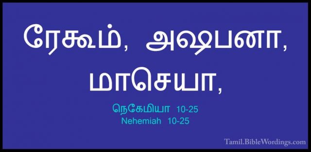 நெகேமியா 10-25 - Nehemiah 10-25ரேகூம், அஷபனா, மாசெயா,