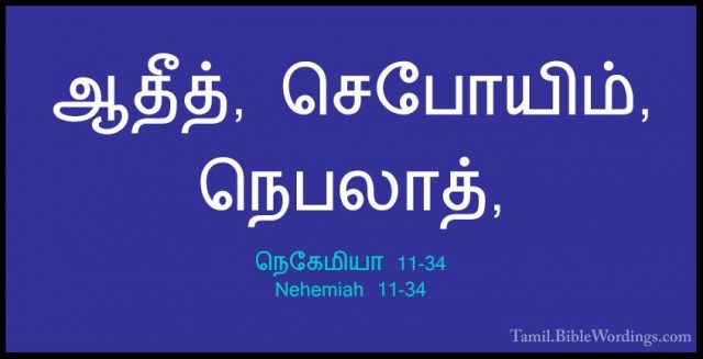 நெகேமியா 11-34 - Nehemiah 11-34ஆதீத், செபோயிம், நெபலாத்,