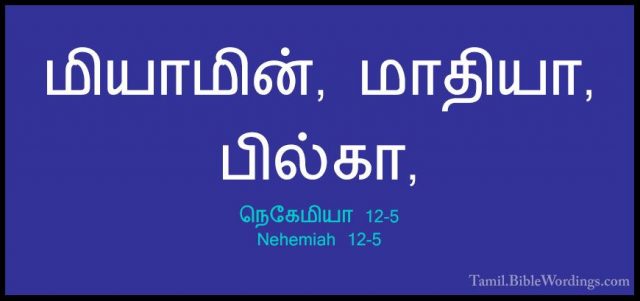 நெகேமியா 12-5 - Nehemiah 12-5மியாமின், மாதியா, பில்கா,