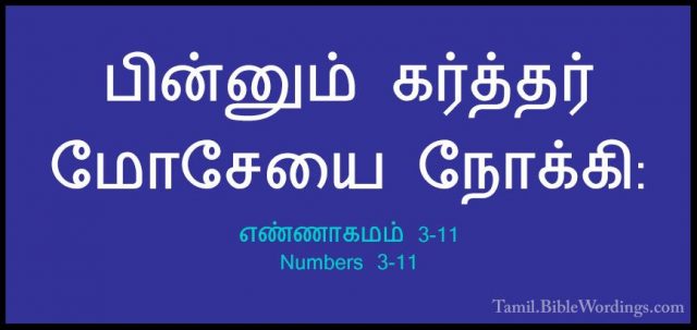 எண்ணாகமம் 3-11 - Numbers 3-11பின்னும் கர்த்தர் மோசேயை நோக்கி: