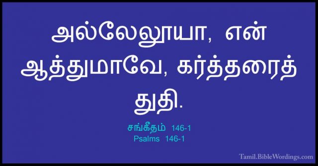 சங்கீதம் 146-1 - Psalms 146-1அல்லேலூயா, என் ஆத்துமாவே, கர்த்தரைத் துதி.